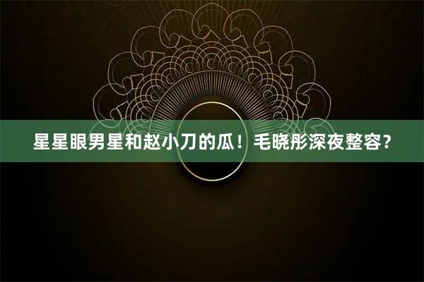 星星眼男星和赵小刀的瓜！毛晓彤深夜整容？