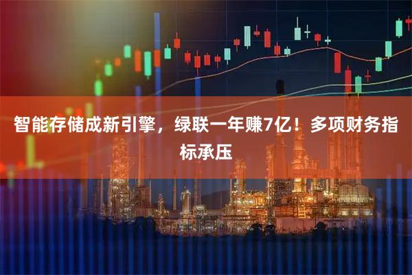 智能存储成新引擎，绿联一年赚7亿！多项财务指标承压