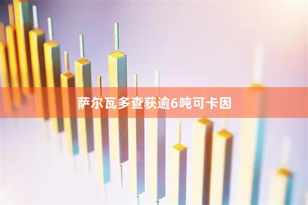 萨尔瓦多查获逾6吨可卡因
